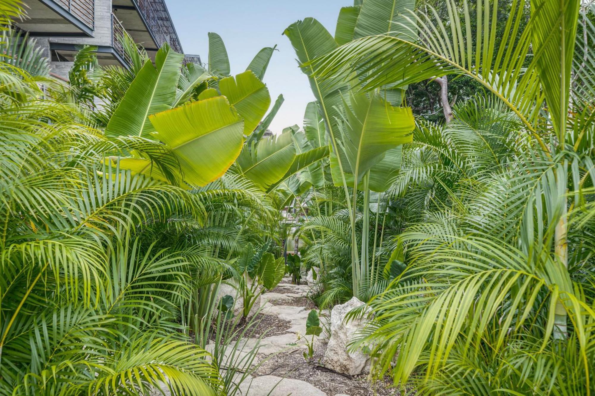 Waterworld Tulum 2Br W Cenote -Lagoons - Big Gym Экстерьер фото